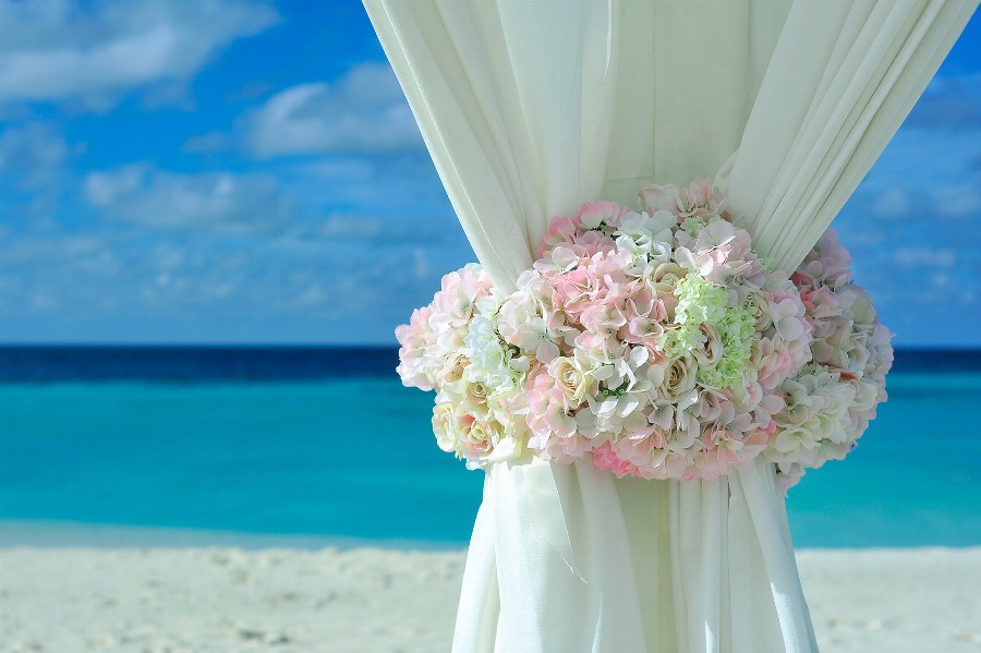 Apsveikuma e-kartiņa Baltas un rozā puķes uz smilšainas pludmales fona