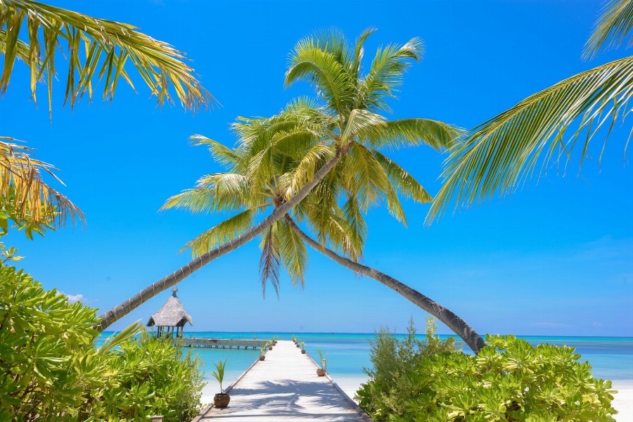 Apsveikuma e-kartiņa Saulaina pludmale ar palmām un zilu jūras ūdeni