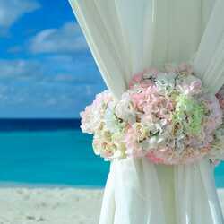 Apsveikuma e-kartiņa: Baltas un rozā puķes uz smilšainas pludmales fona