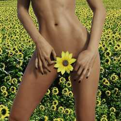 Apsveikuma e-kartiņa: Kails ķermenis ar saulespuķēm