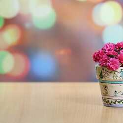 Apsveikuma e-kartiņa: Rozā puķes podiņā uz galda