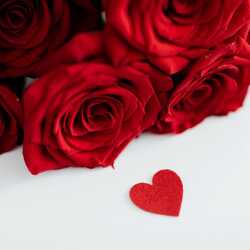 Apsveikuma e-kartiņa Sarkanas rozes ar sarkanu sirdi