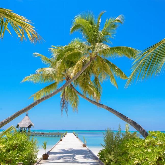 Saulaina pludmale ar palmām un zilu jūras ūdeni e-kartiņa