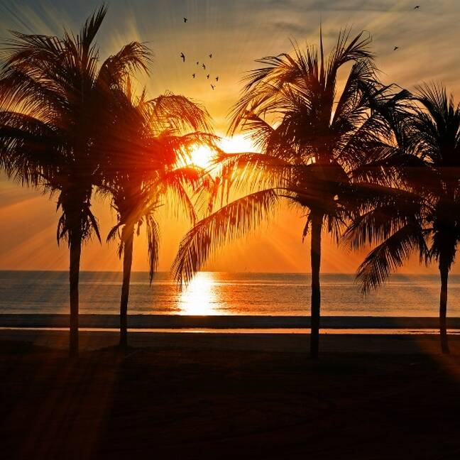 Saulriets pludmalē ar palmām e-kartiņa